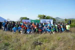 Volkswagen Reforesta