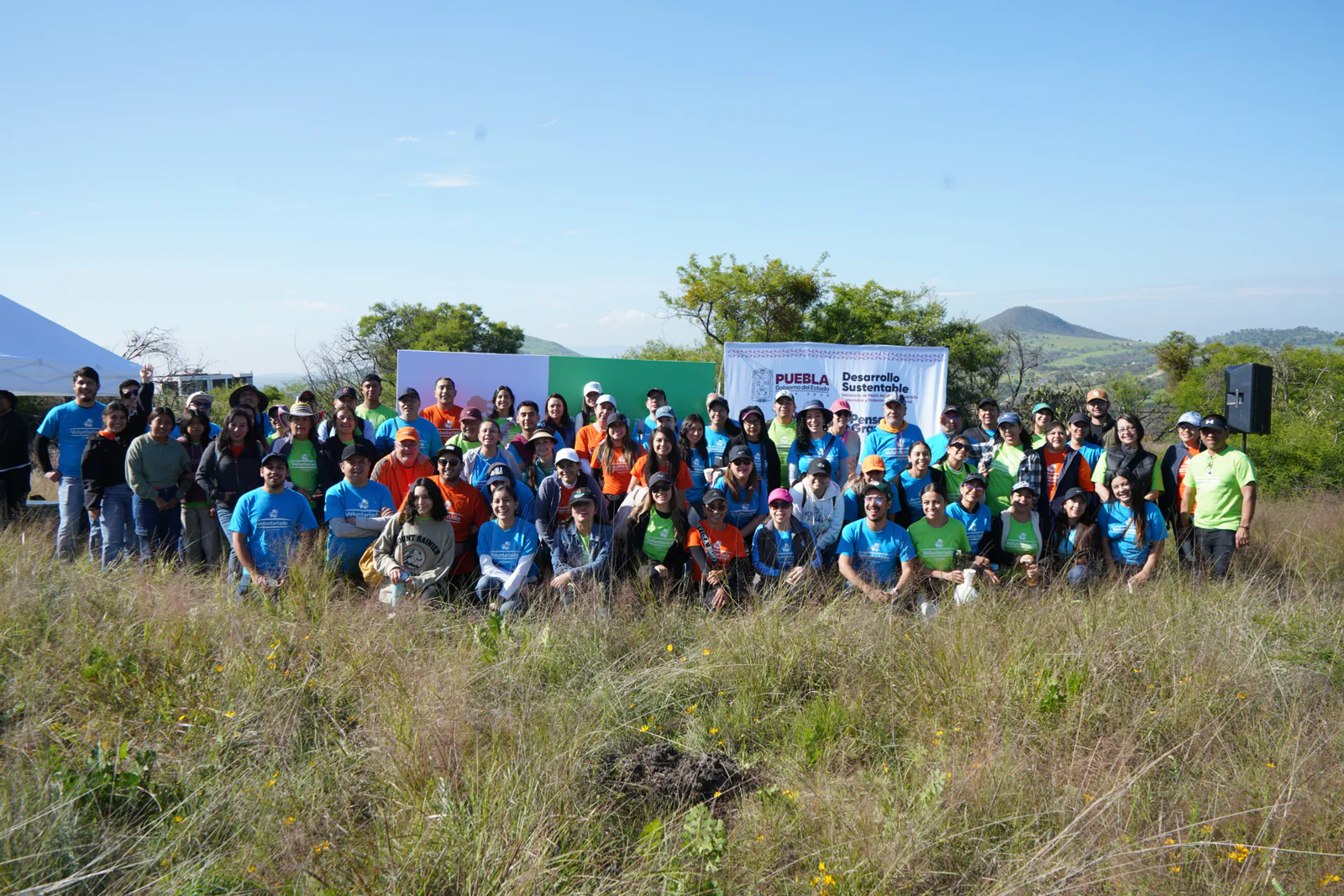 Volkswagen Reforesta